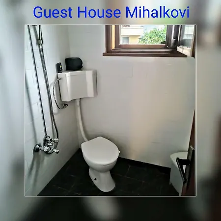 Къща За Гости Михалкови * 사파레바바냐